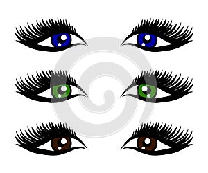 Female eye and long eyelashes on a white background. Symbol. Vector